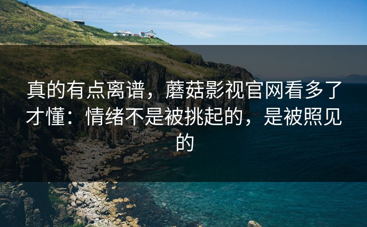 真的有点离谱，蘑菇影视官网看多了才懂：情绪不是被挑起的，是被照见的