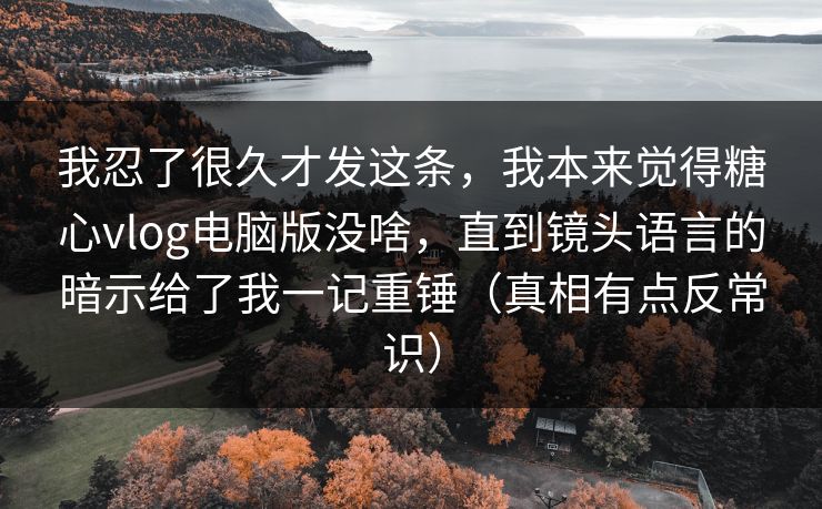 我忍了很久才发这条，我本来觉得糖心vlog电脑版没啥，直到镜头语言的暗示给了我一记重锤（真相有点反常识）