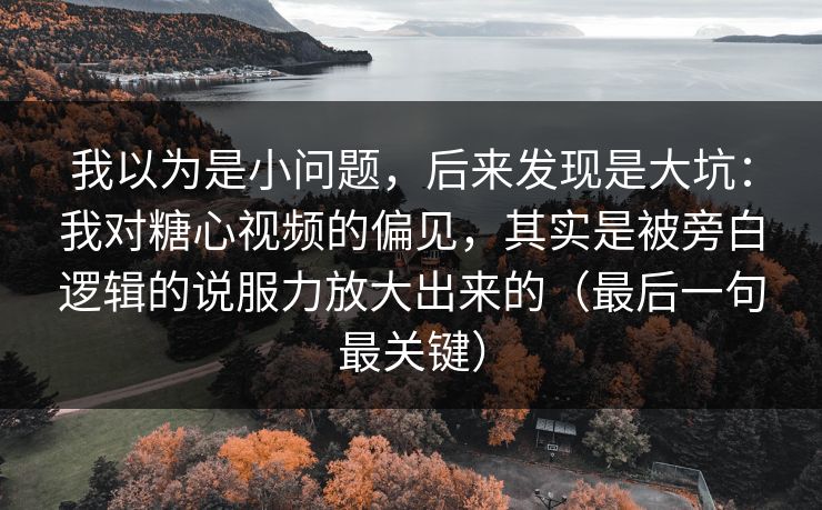 我以为是小问题，后来发现是大坑：我对糖心视频的偏见，其实是被旁白逻辑的说服力放大出来的（最后一句最关键）