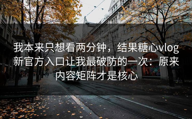 高级教练 - 林嘉敏